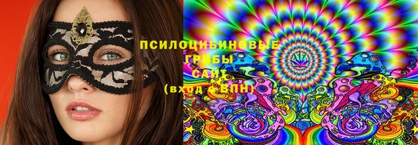 Альфа ПВП Медногорск