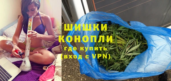 шишки Медвежьегорск