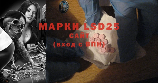шишки Медвежьегорск