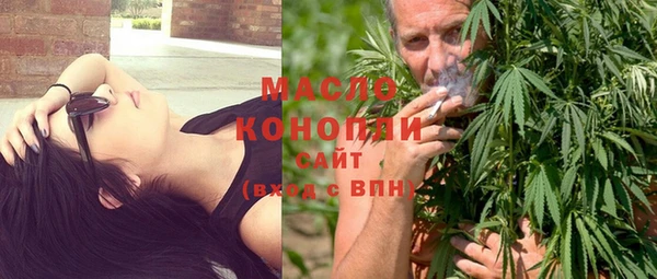 шишки Медвежьегорск
