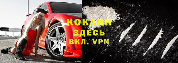 шишки Медвежьегорск