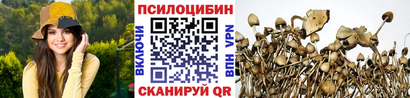 Галлюциногенные грибы MAGIC MUSHROOMS  МЕГА зеркало  Сураж 